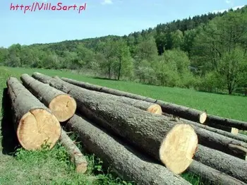 Dolina Radości i Trójmiejski Park Krajobrazowy – Gdańsk Oliwa